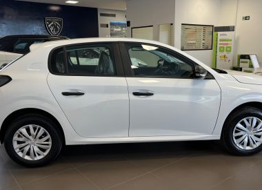 WhatsApp Image 2024-05-31 at 17.36.50